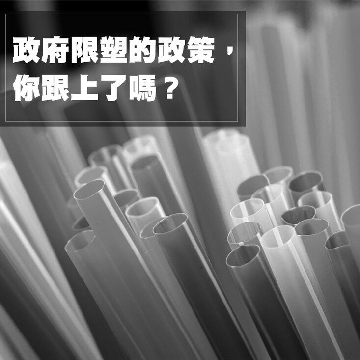 [現貨]可伸縮 304環保不銹鋼吸管 圓滑管口 外出攜帶方便 附清洗刷毛 手搖杯  防刮款304不銹鋼伸縮吸管 1