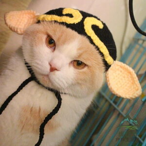 豬八戒貓咪頭套寵物帽子變裝帽搞怪貓頭飾針織帽