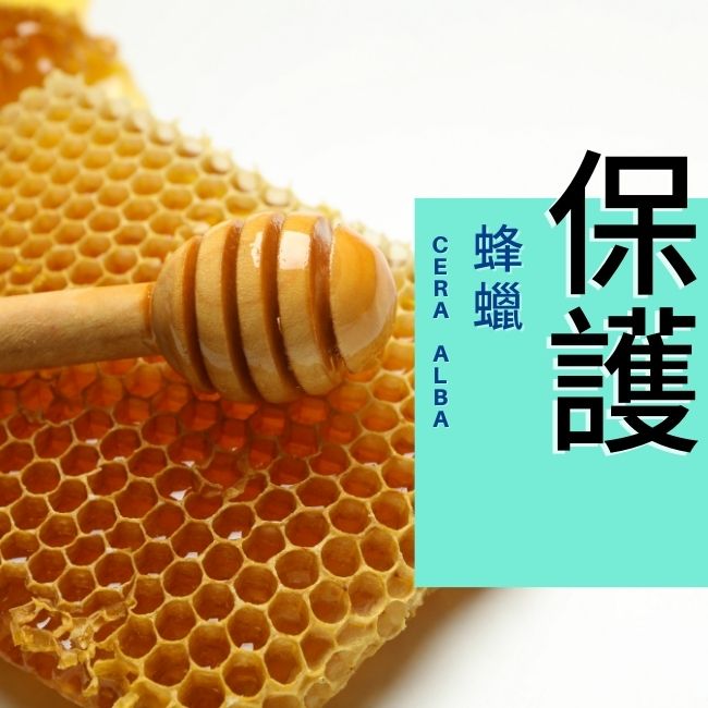 美生藥局｜【Rivadouce聖泉薇】蜂蠟蓮花皮脂修復冷霜 100ml 4