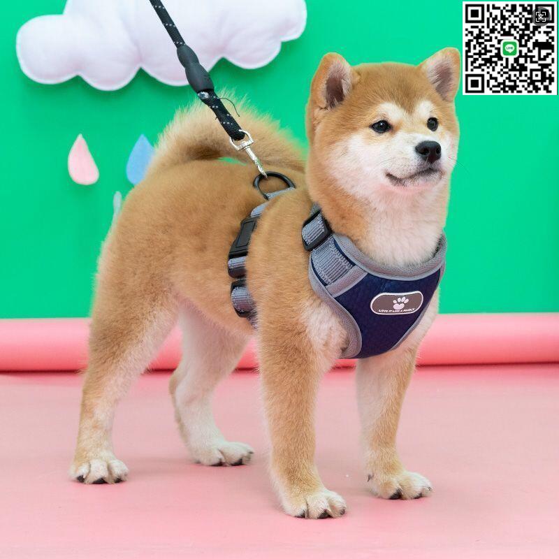 【千羽家居】狗狗胸背帶牽引繩背心式背帶防爆沖中型犬寵物用品柴犬項圈小型犬