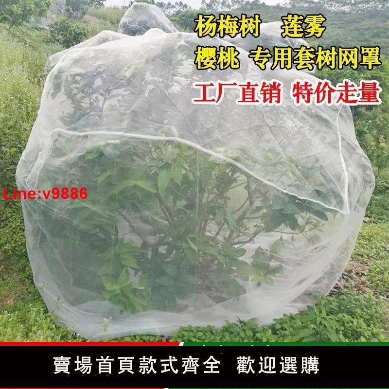 【臺灣公司 超低價】果樹防鳥防蟲網楊梅樹網罩大棚蓮霧藍莓網桃樹防鳥網網罩羅幔蚊帳