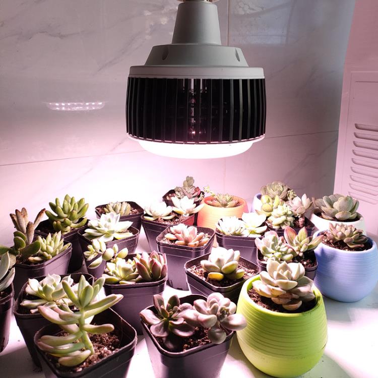 led鰭片球泡植物生長燈室內補光燈花卉盆栽育苗植物大功率補光燈YTL 雙11全館免運