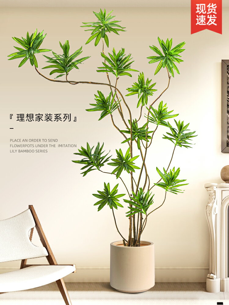 仿生綠植百合竹室內高級裝飾擺件客廳落地仿真樹盆栽奶油風假植物