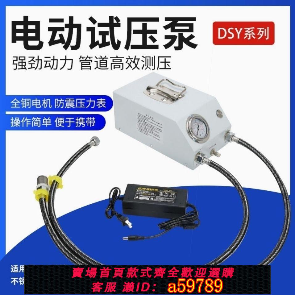 【臺灣公司 可打統編】進口技術打壓泵手提式手動電動試壓泵PPR水管打壓機測壓機地暖泵