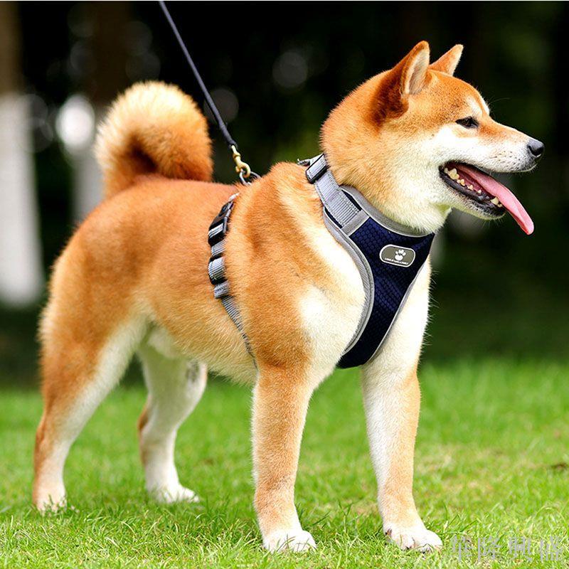 反光可調節柴犬狗狗牽引繩金毛防爆沖背心式狗鏈拉布拉多寵物項圈