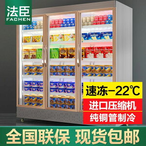 法臣冷凍立式速凍柜雪糕低溫急凍柜大容市冷凍食品水餃冰柜雙開門