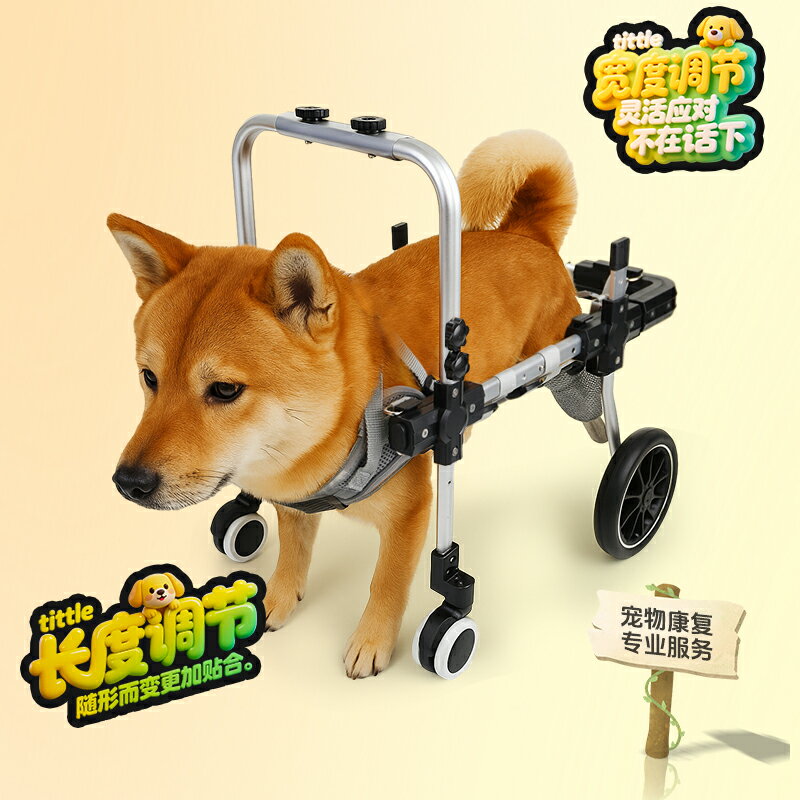 {可打統編 保固一年}可調節狗寵物輪椅后腿支架后肢癱瘓康復四輪老年輔助車助力代步車 1