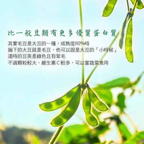 永昇涼拌調味毛豆夾1KG/包【愛買冷凍】 2