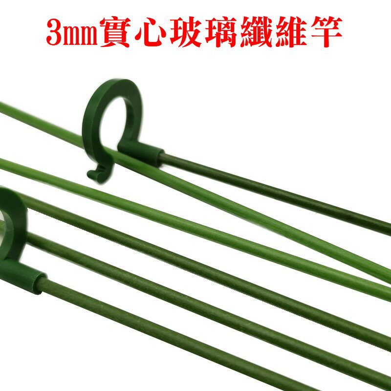 【珍愛頌】N423 花盆支架 花劍支架 蘭花支架 花卉造型 蝴蝶蘭支架 多肉花架 攀爬支柱 支撐桿 爬藤架 防倒 護葉 5