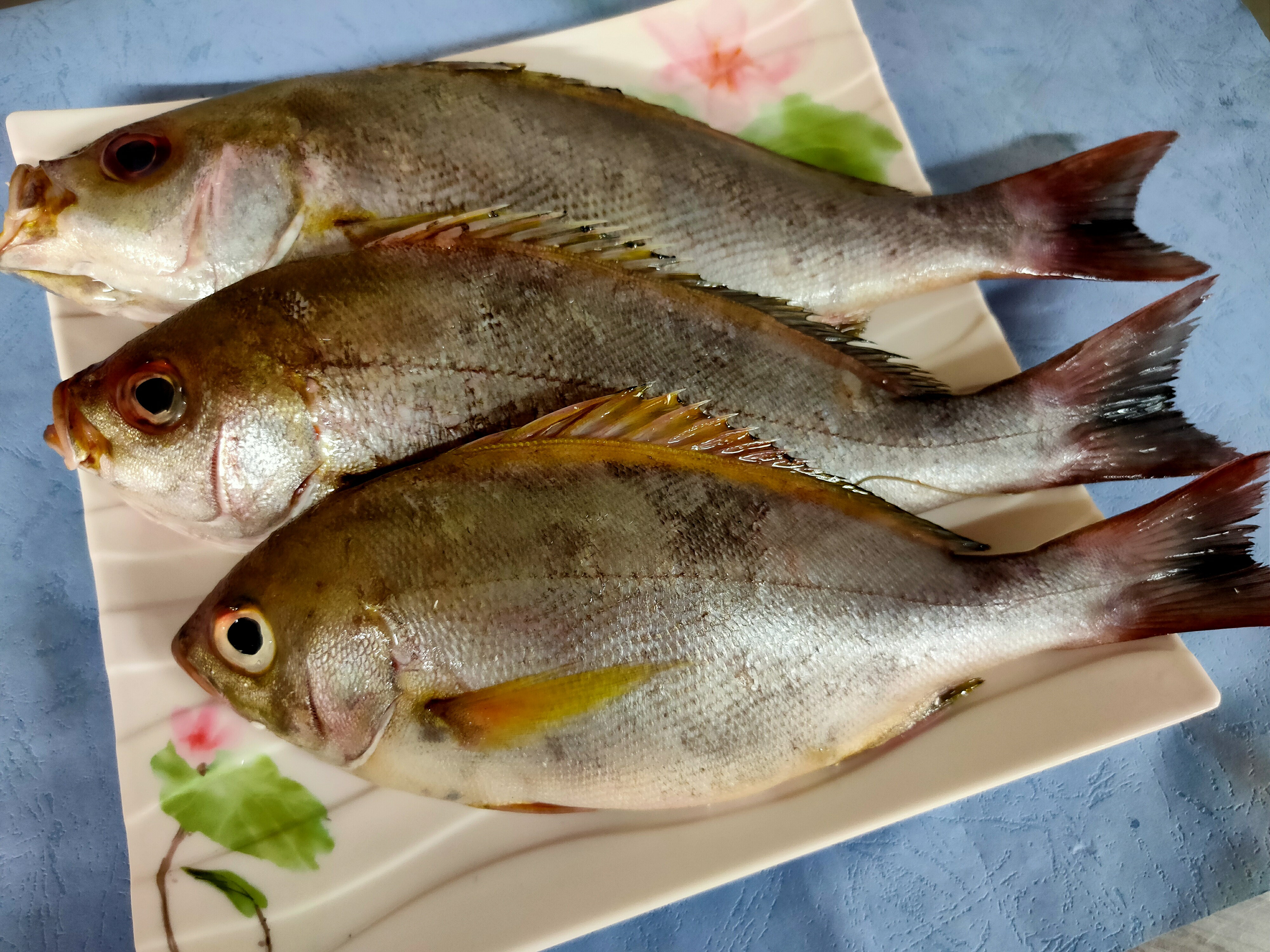 野生現流黃雞魚 (300~400g/隻)