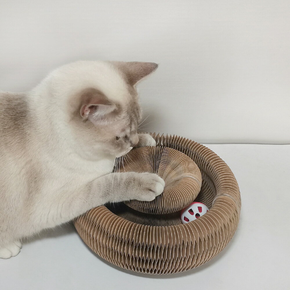 【台灣現貨】風琴鈴鐺貓抓板 多變可折疊可拉伸磨爪貓抓板 貓咪玩具 寵物用品 6