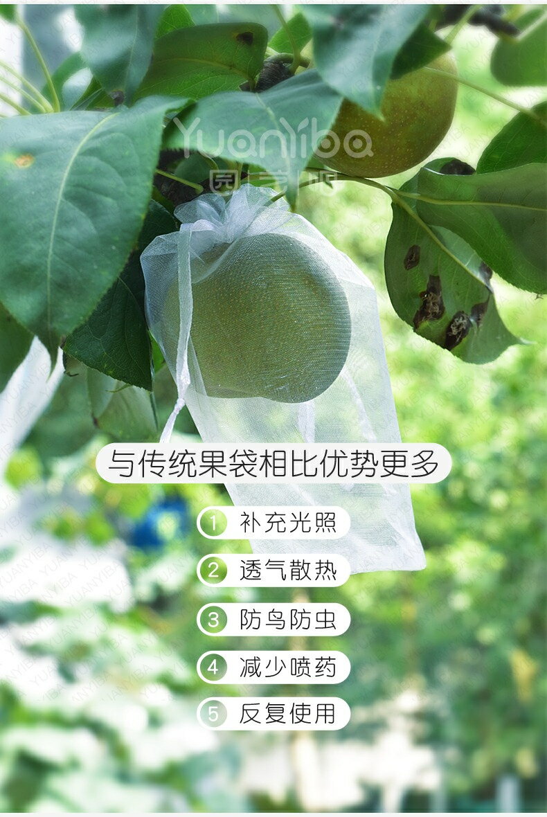 【雙拉繩紗袋-單入】水果套袋 紗網袋 雪紗網 防蟲網袋 水果網袋 紗袋 套袋 小物袋 整理袋 雪紗袋 婚禮 1