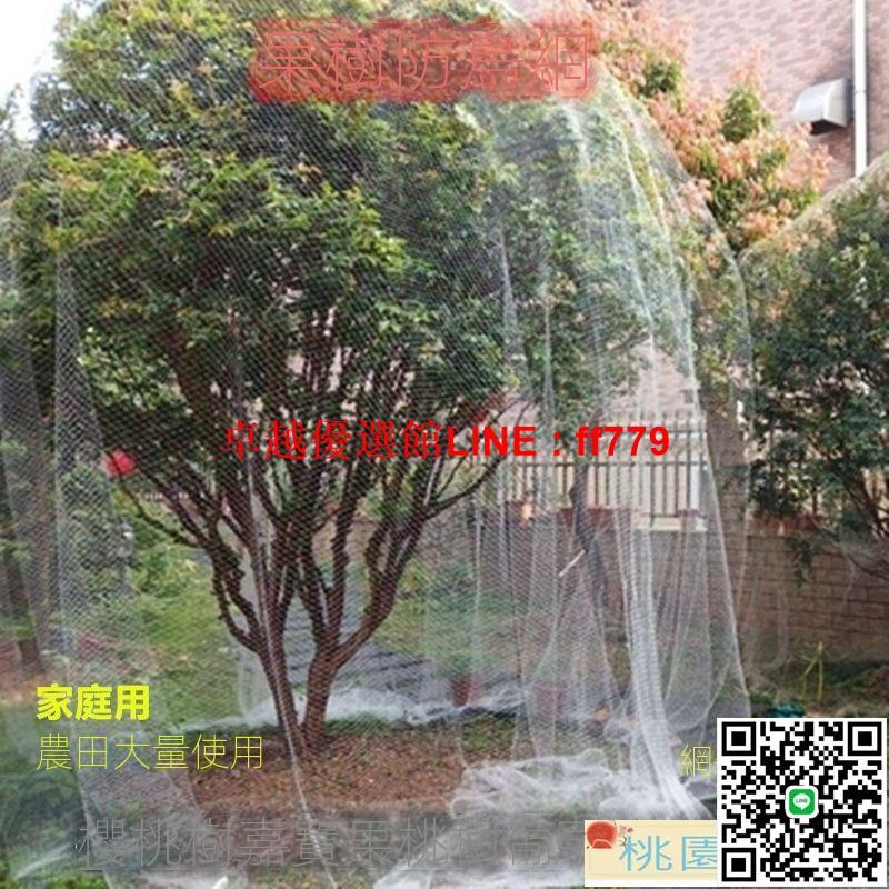 【卓越優選館】防鳥網 防蟲網 防鳥網尼龍大棚果樹櫻桃葡萄梨樹果園防鳥用網泥鰍養殖網魚塘天網