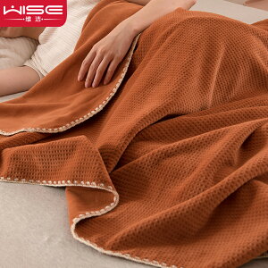 華夫格毛毯毛巾被空調毯午睡沙發蓋毯珊瑚絨法蘭絨毯子厚冬季北歐