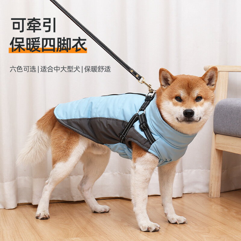 狗狗衣服秋冬款新款柯基柴犬中小型犬可牽引防水防寒加厚保暖棉衣