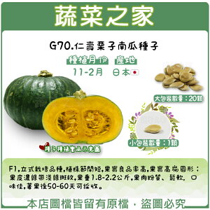 【蔬菜之家】G70.仁壽栗子南瓜種子(共有2種包裝可選)