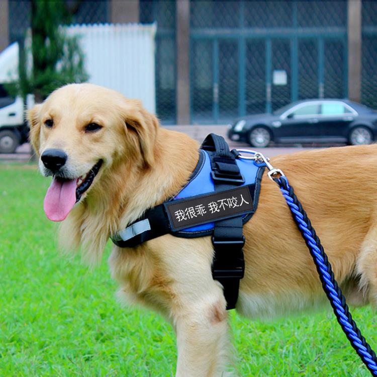 貓狗寵物牽引繩 狗狗胸背帶大型犬金毛阿拉斯加牽引繩中型犬馬犬狗鏈子遛狗繩項圈