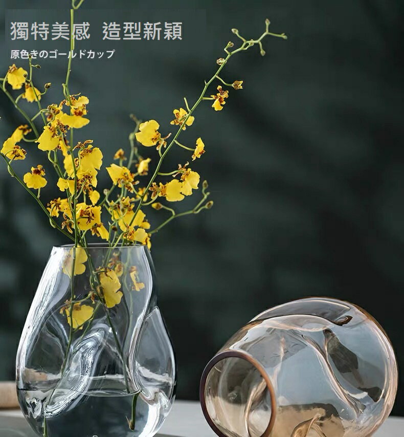 花瓶 花器 造型花瓶 歐式 玻璃花瓶 不規則花瓶 插花水培花瓶
