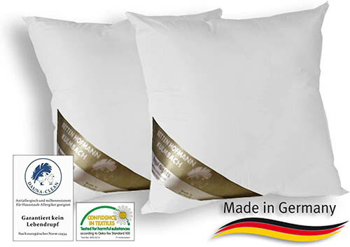 BETTEN Hofmann【日本代購】高級羽毛枕 2件套枕芯45x45cm環保認證-德國產
