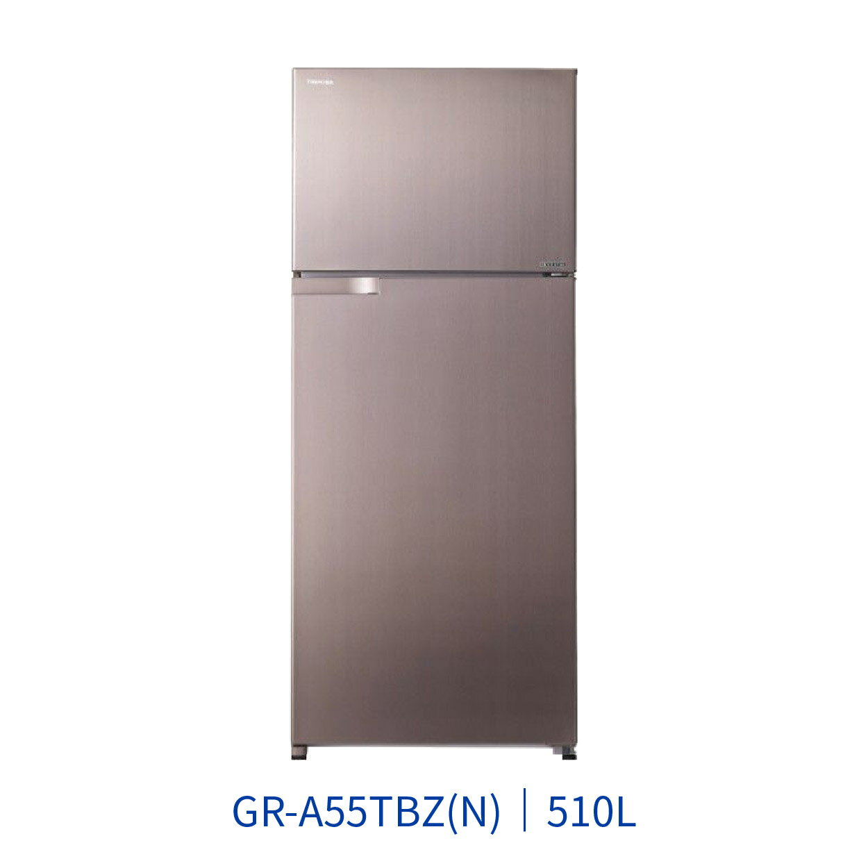 【點數10%回饋】TOSHIBA東芝 GR-A55TBZ-N 510L 雙門電冰箱 金色