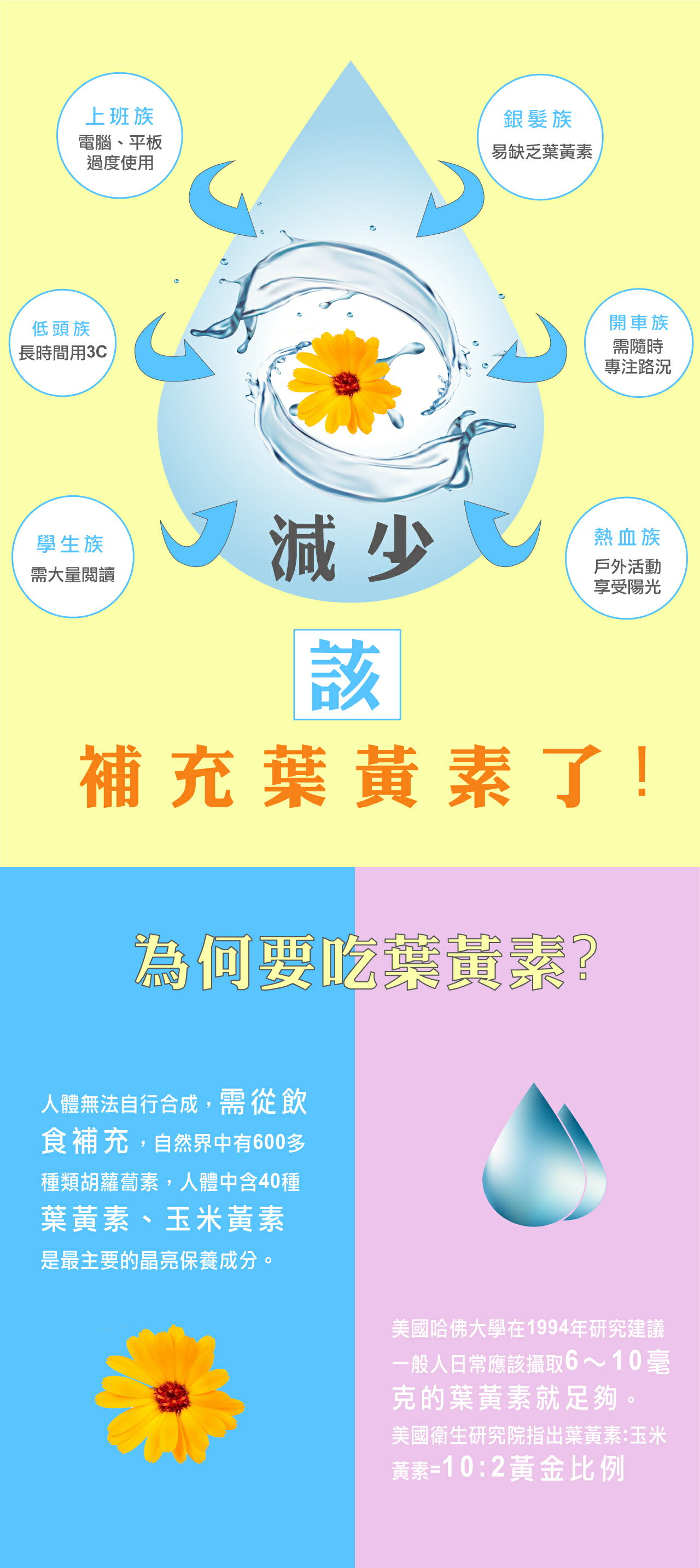 晶亮有神 ∣ 水潤葉黃素(30粒)－【素食可食】【此商品網路通路不銷售，請來電洽詢藥局05-5375697】 3