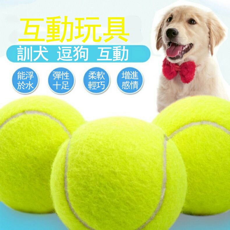 狗狗玩具彈力球幼犬磨牙耐咬泰迪博美小狗訓練球金毛網球寵物用品---極有家創意生活館