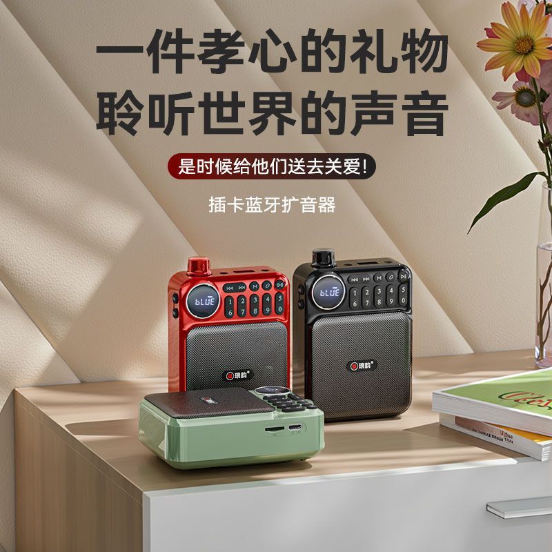 瑯韻C75藍芽插卡音響收音機大音量迷你擴音器多功能便攜式播放器【Snowbelle優選】
