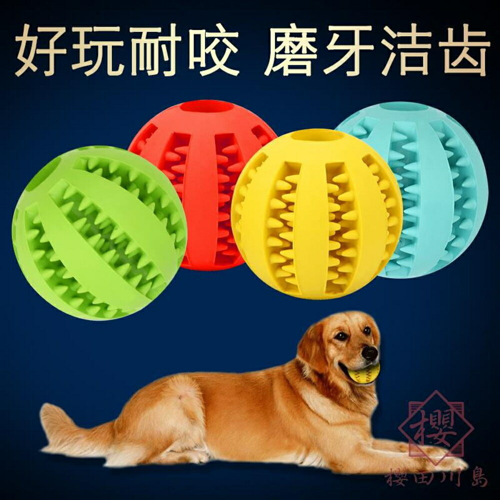狗狗玩具橡膠彈力球耐咬玩具訓練寵物玩具【櫻田川島】