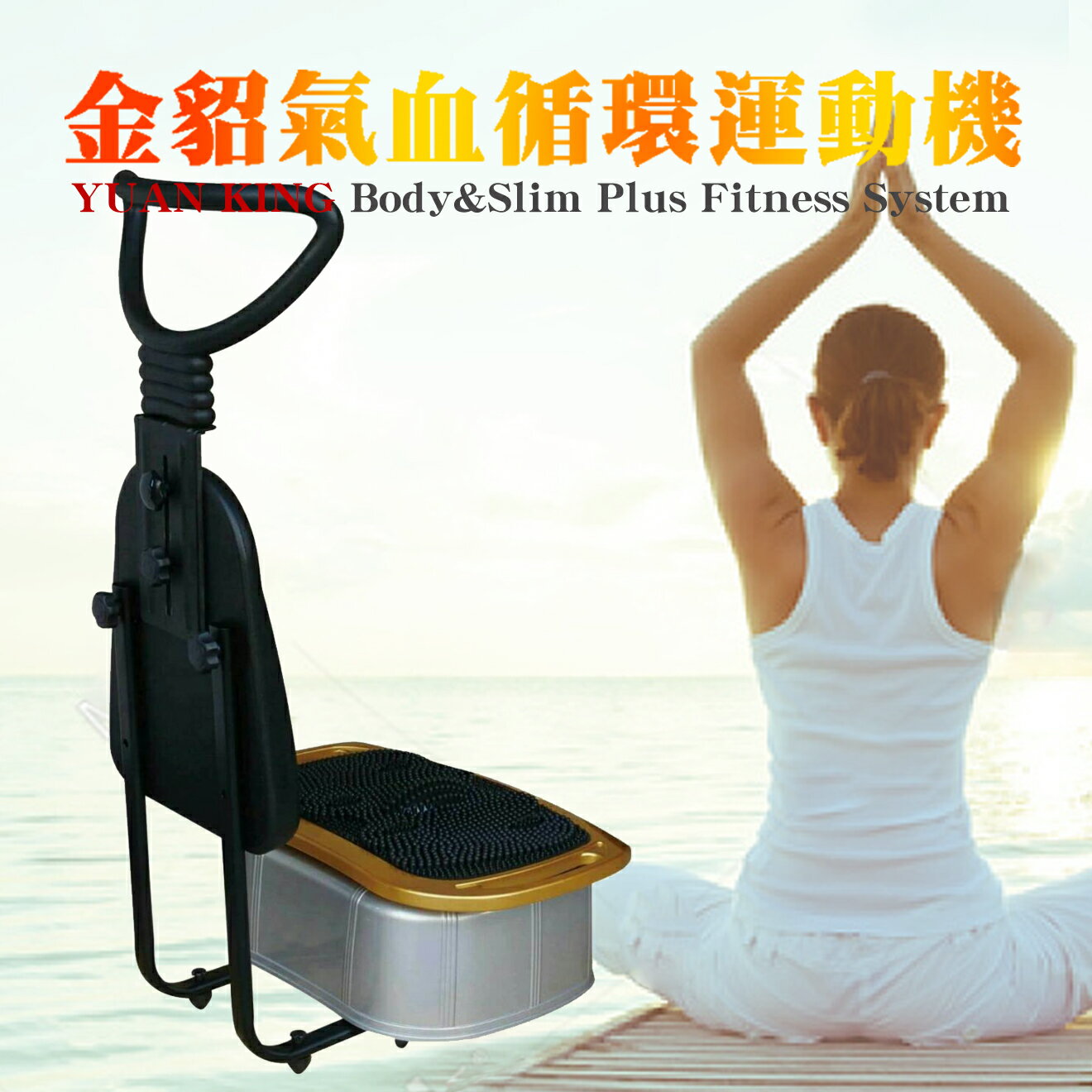 銀貂 金貂美體運動機 YK648 台灣製造