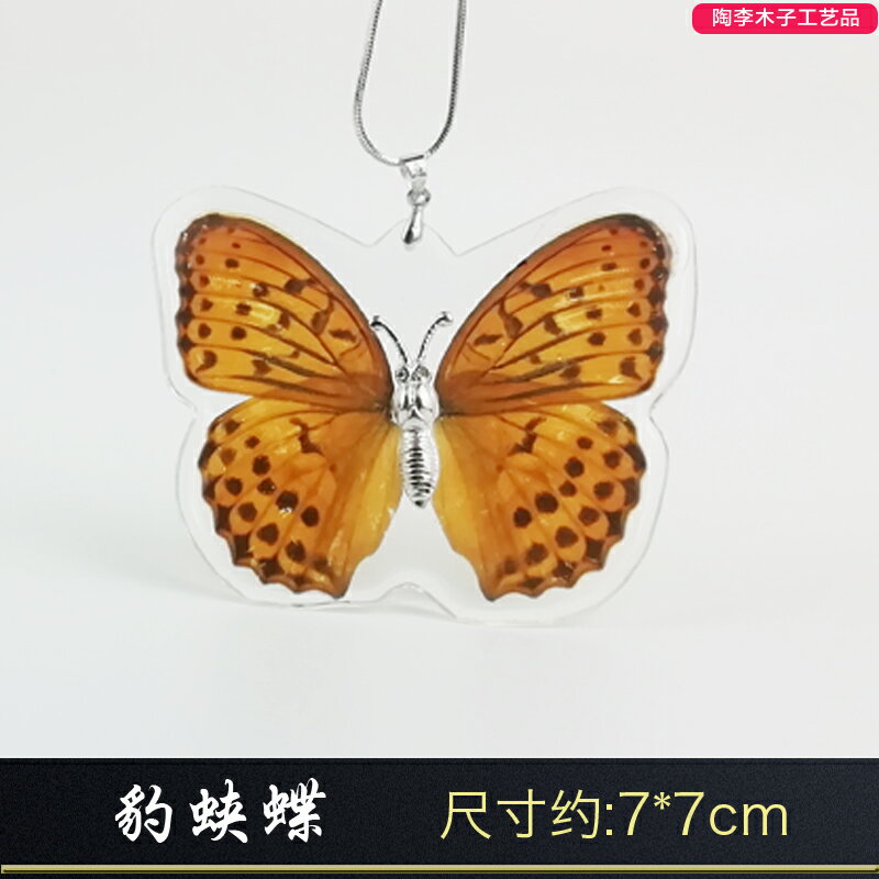 秀晰真蝴蝶標本昆蟲樹脂巴黎碧鳳青鳳蝶 工藝品收藏生日結婚送禮