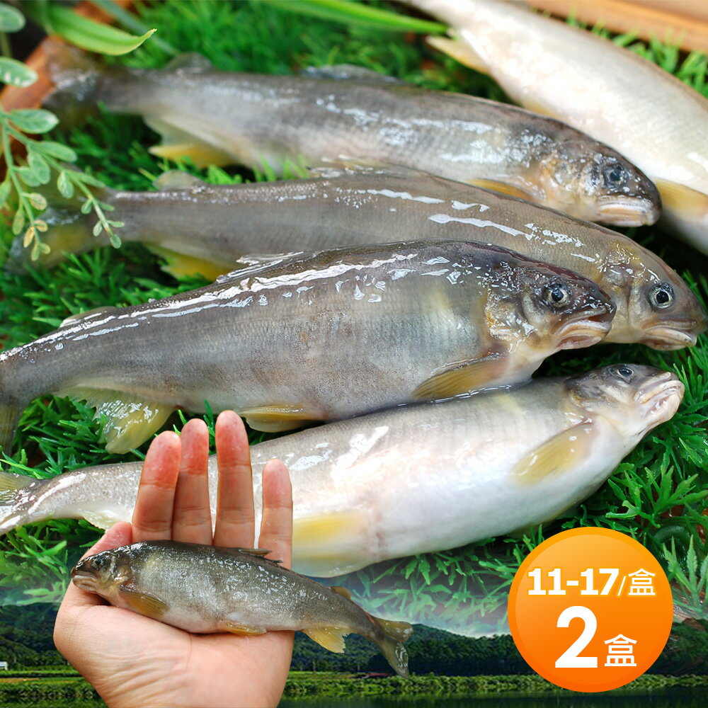 【築地一番鮮】宜蘭帶卵小香魚2盒(11-17尾裝/1kg±5%/盒)免運組