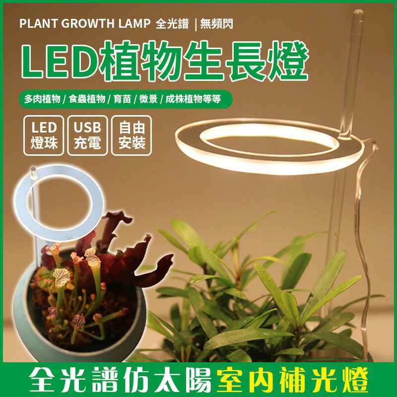 USB植物燈單頭/雙頭/三頭 生長燈LED燈 植物補光燈 全光譜仿太陽 室內家用花卉光照 多肉補光燈