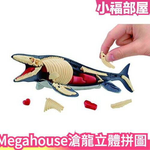 日本原裝 MegaHouse 解體立體拼圖 內臟式拼圖 滄龍 海底霸主 益智拼圖 玩具 親子同樂【小福部屋】