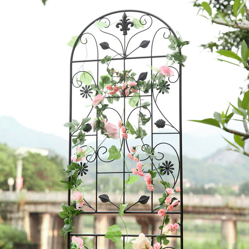 【庭院爬藤神器】鐵線蓮花架 月季花架 薔薇花架 爬藤架 花園柵欄 鐵藝花支架 戶外庭院裝飾 防鏽耐用 簡約美觀 支撐攀爬植物
