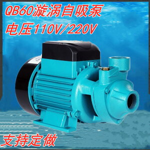 QB60漩渦自吸清水泵高揚程110v家用小型水井抽水自吸泵「限時特惠」
