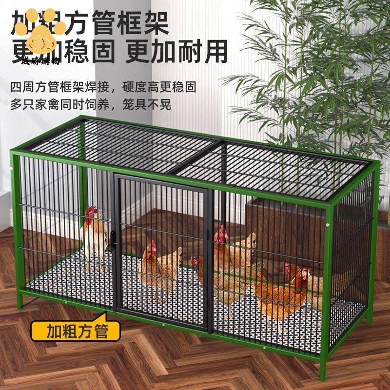 免運開發票 雞籠 養殖籠 兔籠 雞籠子加厚加密方管雞籠家用雛雞大雞籠室外防黃鼠狼養雞專用籠 八折下殺ly14
