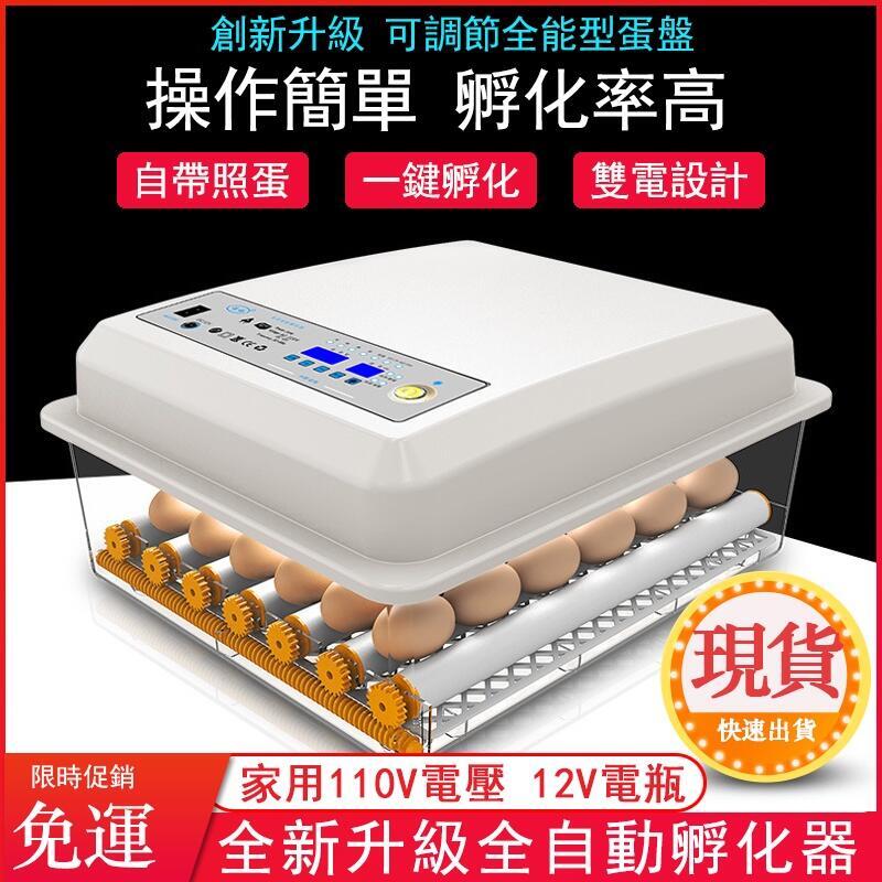 【現貨免運】110V孵化機小型家用孵蛋器（帶溫度控制）智慧雞鴨鵝鴿子孵化器 全自動小雞雞蛋孵化機 孵蛋器 孵化箱