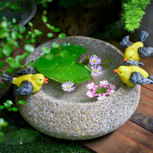 創意銅錢草水培花盆小鳥擺件個性陽臺花園裝飾庭院布置水養石頭盆
