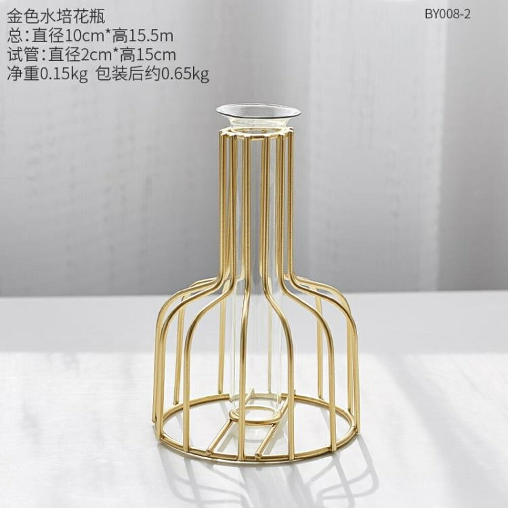 北歐ins透明玻璃小花瓶鐵藝擺件擺設裝飾品