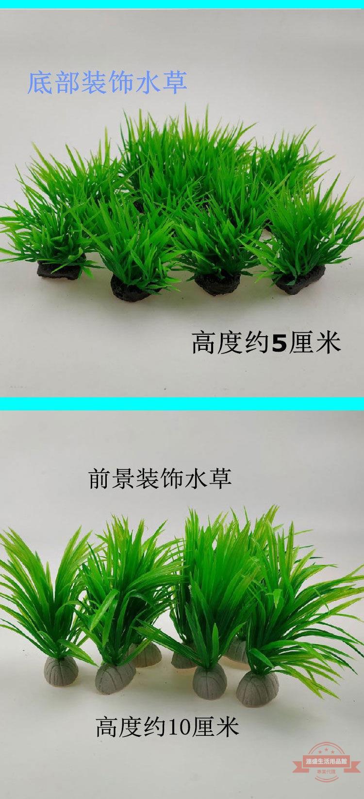 魚缸造景樹綠色小水草魚缸鋪底底部水草水族前景水草龜缸水草廠家 連盛 樂天市場rakuten