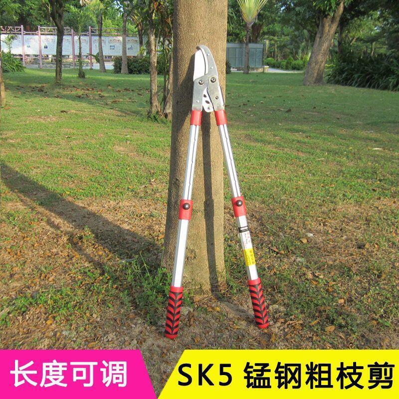 【可開發票】剪刀 高枝剪 修枝剪 園藝剪刀 高枝鋸 修枝鋸 修樹粗枝剪刀修枝剪枝伸縮大力剪刀片修剪樹枝剪園藝園林剪枝 | 挪威的森林 | 樂天 ...