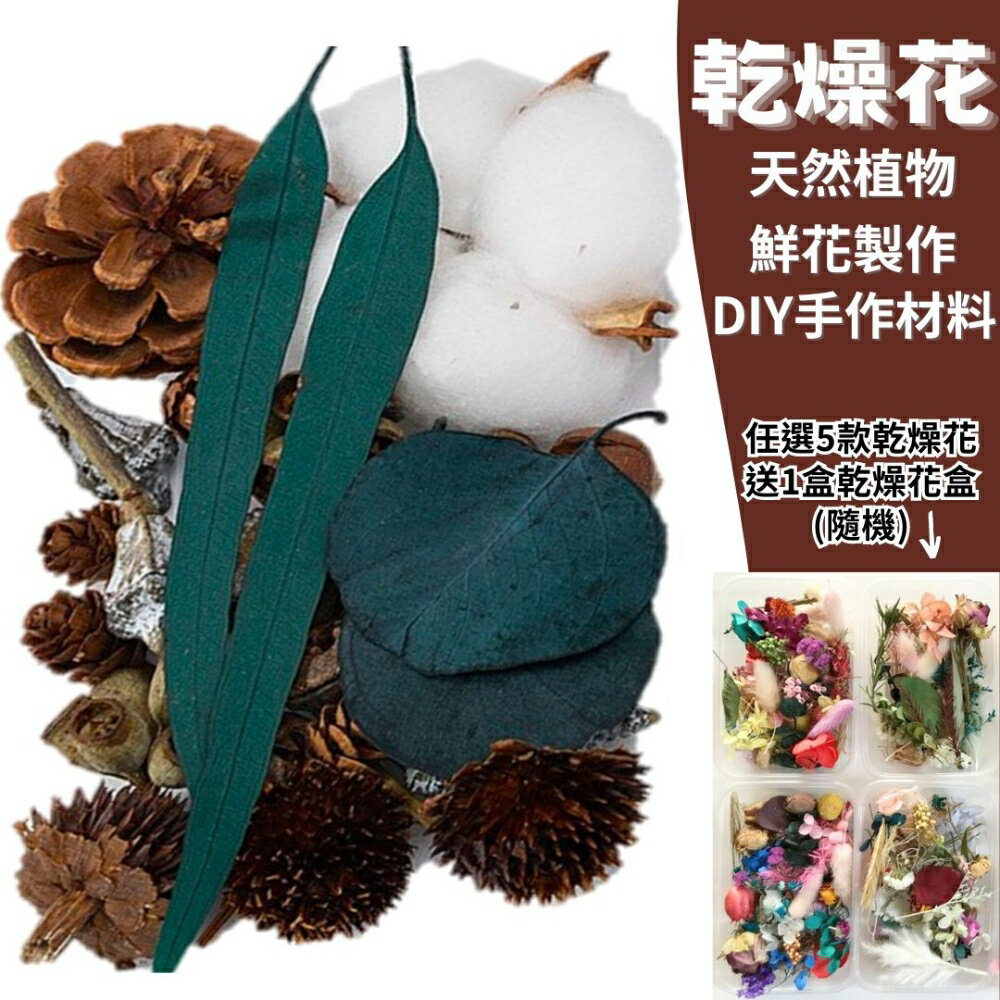 幫家裡聖誕佈置裝飾推薦聖誕樹及聖誕花圈到【A-ONE】綜合乾果盒H 植物果實 花朵 松果 棉花 花束 捧花 乾燥花 不凋花 材料 永生花 花材 B15【領券滿額再折千12/31止】就在ALL SPLENDID推薦幫家裡聖誕佈置裝飾