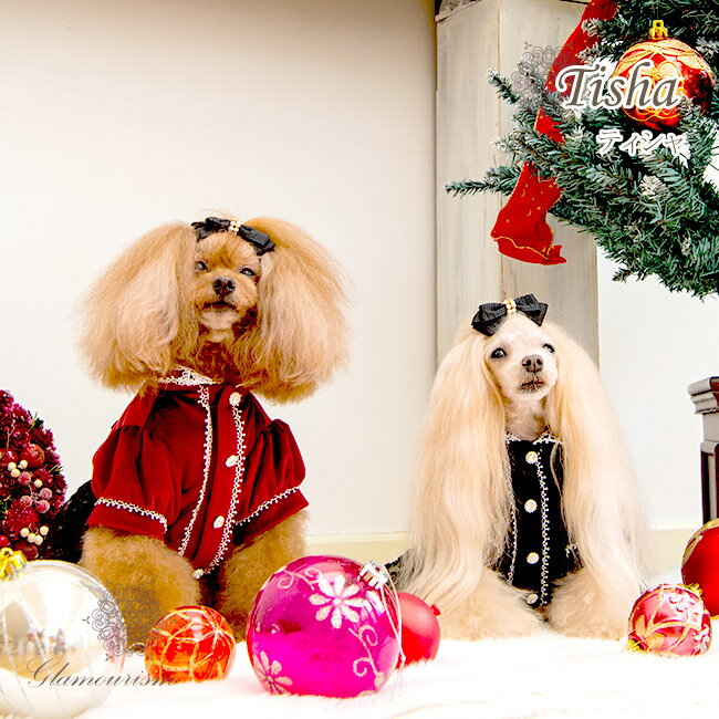 日本代購 空運 Glamourism Tisha 寵物 天鵝絨 洋裝 衣服 蕾絲 花邊 狗衣服 犬用 小型犬 中型犬
