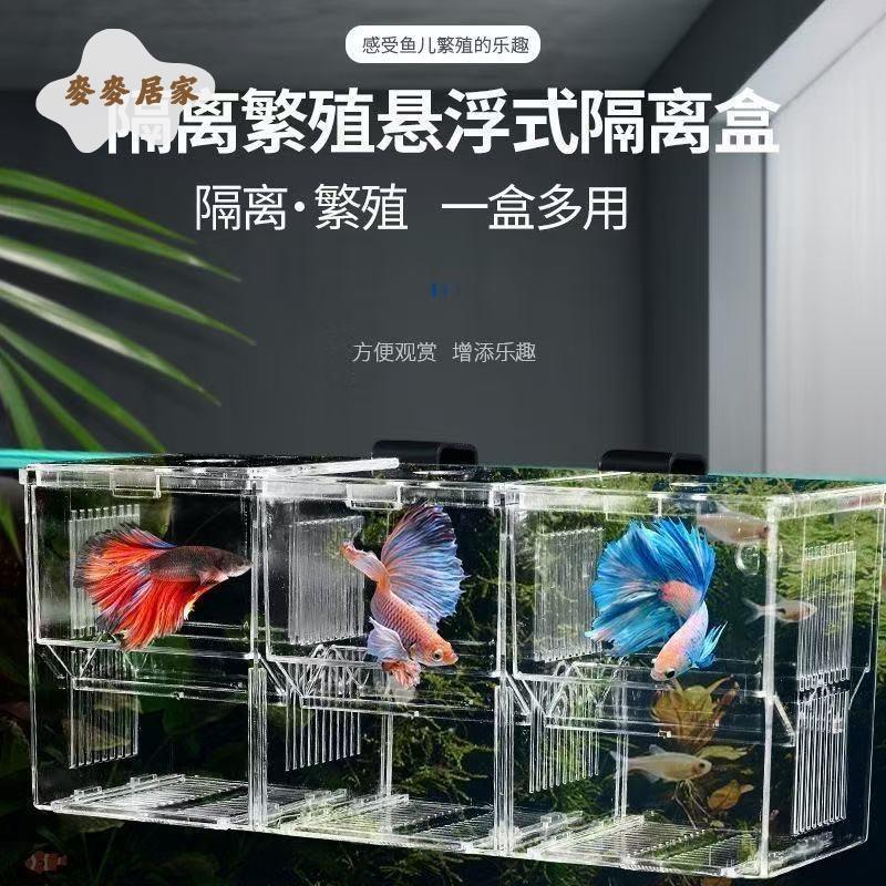 泰國鬥魚缸透明亞克力積木隔離盒小型觀賞專用桌面造景魚缸排缸pm6101