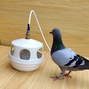 智森鴿子飲水器自動喂水器水壺水槽信鴿喝水神器陶瓷用品用具大全