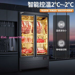 干式牛肉柜熟成柜高端商用恒溫排酸柜西廚恒濕牛排專用冷凍保溫柜