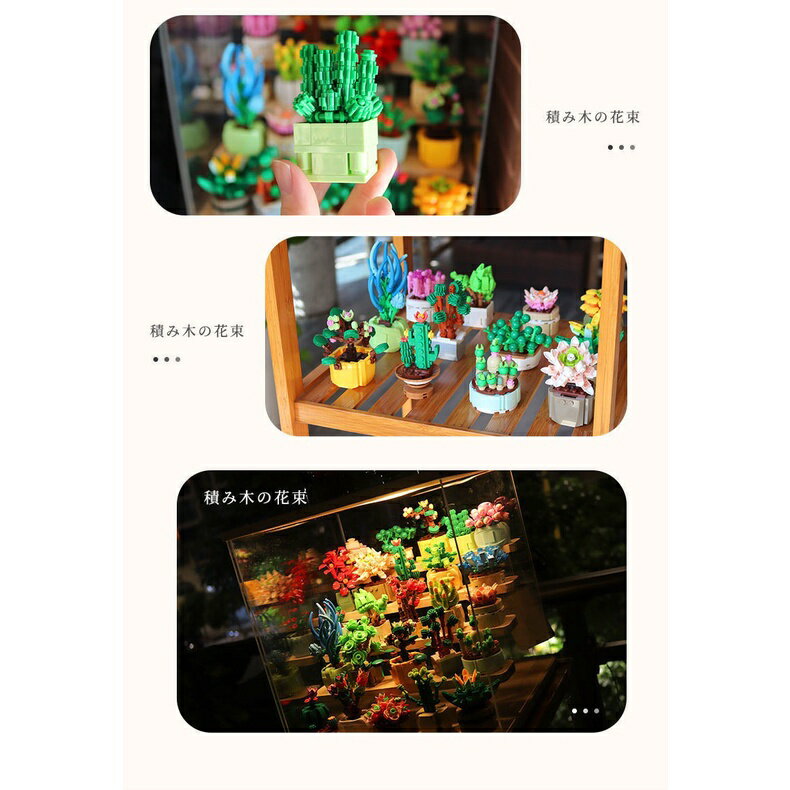 多肉植物積木 小顆粒拼裝玩具 積木玩具 臥室裝飾 兒童積木 幼兒園玩具 兒童禮物 盲盒『蓁澄媽好物』兼容樂高 7