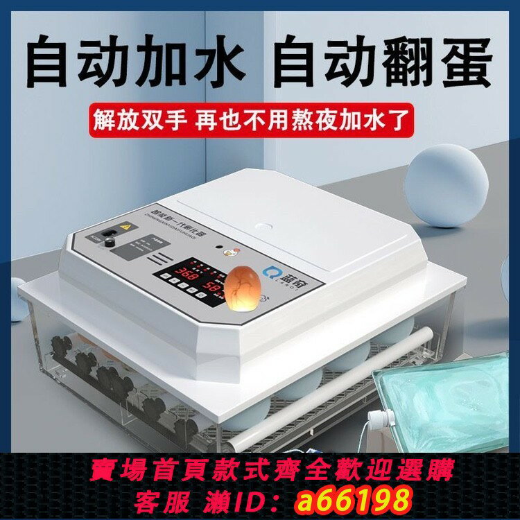 【臺灣公司 可開發票】【110V專用】全自動孵化機雞鴨鵝鴿孵化器出口家用小型智慧孵蛋機