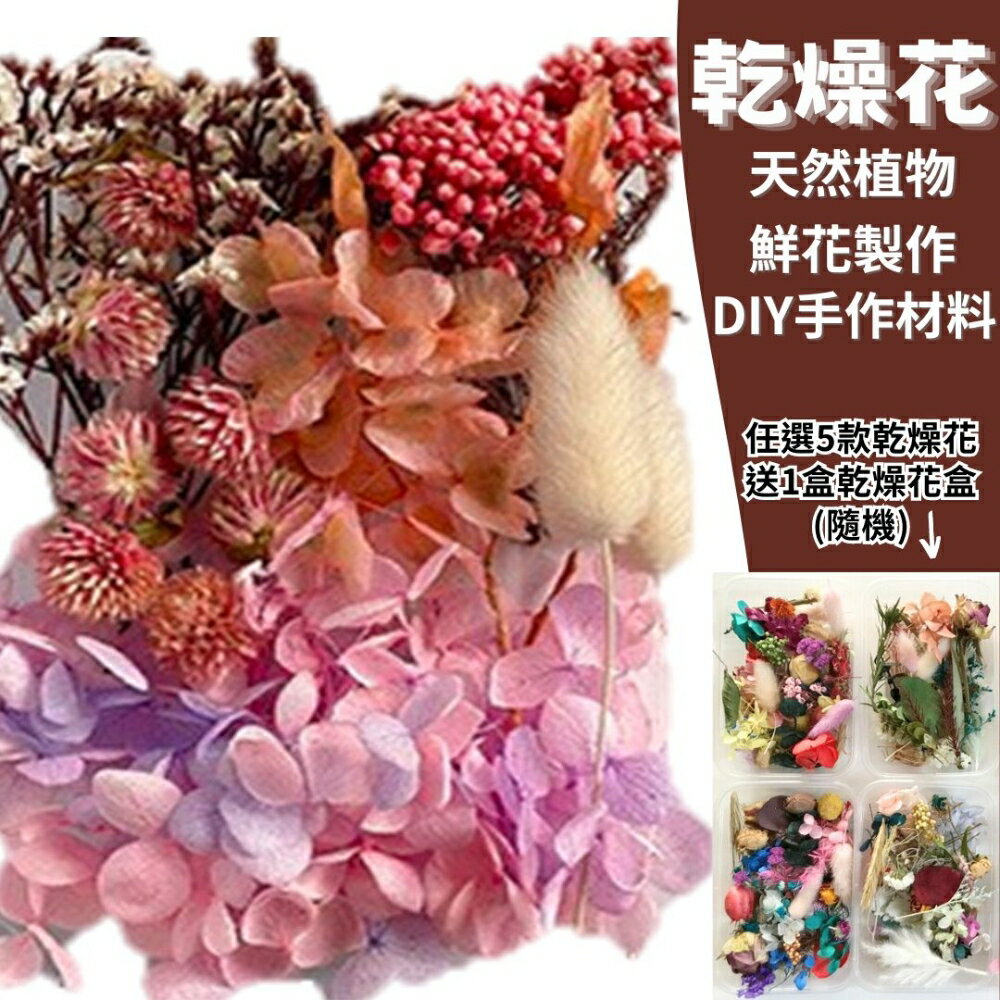 【A-ONE】乾燥花素材 鬥色爭豔 永生花 材料包 DIY 手作浮游花 浮油花 蠟燭材料 繡球花 苔癬 千日紅 B08