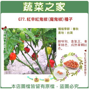 【蔬菜之家】G77.紅辛紅鬼椒(魔鬼椒)種子(共有2種包裝可選)